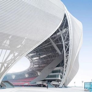 素缣绵延：大莲花如约而至