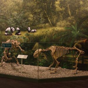 智慧博物馆让文物资源“活”起来