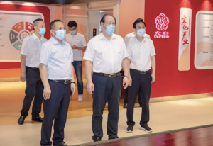 彭佳学高度评价大丰：“跟上时代节拍，引领时代潮流！”